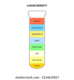 Liquid density scientific experiment concept. Glass or tube with separate fluids. Column with colorful materials. Visual weight analysis. Isolated flat vector illustration for science or education.