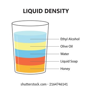 Liquid density scientific experiment concept. Separate fluid layers. Laboratory experiment with density of oil, water, honey, soap and alcohol. Different types of liquid in glass. Vector illustration.