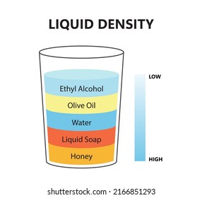 Liquid density scientific experiment concept. Separate fluid layers. Laboratory experiment with density of oil, water, honey, soap and alcohol. Different types of liquid in glass. Vector illustration.