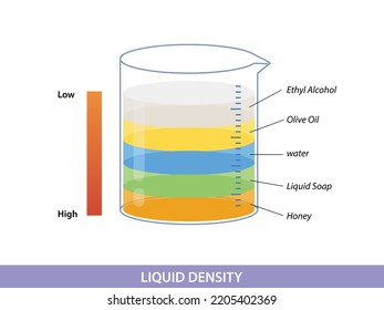 Liquid Density Scientific Experiment Concept Separate Stock Vector ...