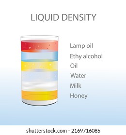 Flüssigkeitsdichte, separate Flüssigkeitsschichten. Verschiedene Farbstoffe , Honig, Milch, Wasser, Öl, Ethylalkohol, Lampenöl,   In Glas. Vektorgrafik