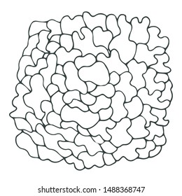 Liquid sketch background. Hand drawn decorative spot for coloring.