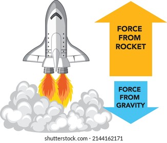 Liquid and solid rocket anatomy illustration