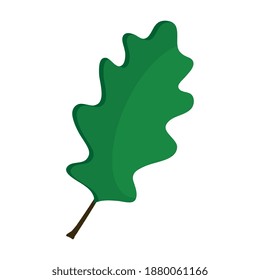 lirada leaf plant flat style icon vector illustration design