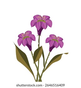 Lirios Purple Floral Design Spring Garden Blossom Graphic