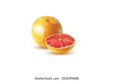 Lisbon Lemon Vector illustration isolated on white background