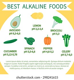 List Alkaline Foods Alkaline Foods Foods Stock Vector (Royalty Free ...