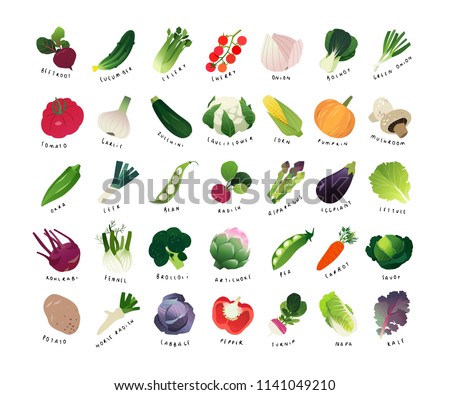 List Common Vegetables Clip Art Miniatures Stock Vector (Royalty Free