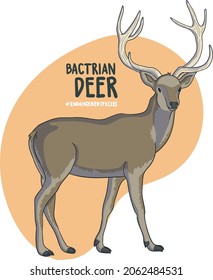 La lista de animales en peligro de extinción se hace cada vez más larga. El venado de Bactrian es una de esas largas listas.