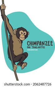 Die Liste der gefährdeten Tiere wird immer länger. Der Schimpanse ist eine dieser langen Listen.