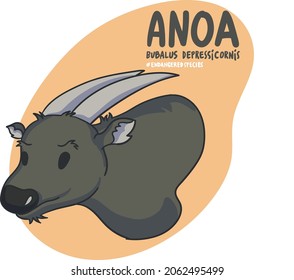 La lista de animales en peligro de extinción se hace cada vez más larga. El Anoa (Bubalus Depressicornis) es una de esas largas listas.