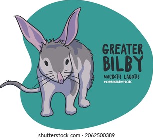 The list of endangered animals is getting longer and longer. The Greater Bilby (Macrotis Lagotis) is one of those long lists.