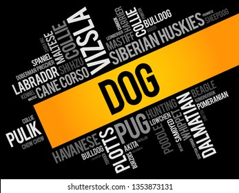 List of most popular dog breeds word cloud collage, animal concept background