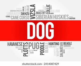 List of most popular dog breeds word cloud collage, animal concept background