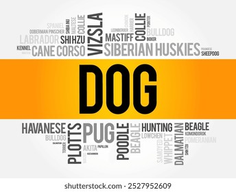 List of most popular dog breeds word cloud collage, animal concept background