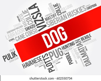 List of most popular dog breeds word cloud collage, animal concept background