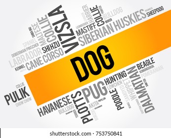 List of most popular dog breeds word cloud collage, animal concept background