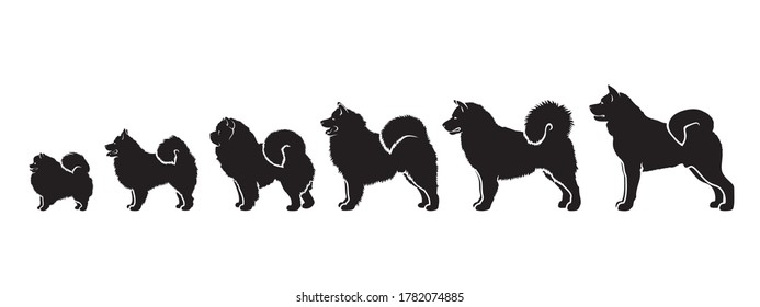 List of north, cold-weather, wolf like long haired dog breeds by size - isolated vector illustration