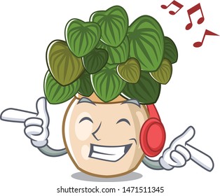 Listening music peperomia spreads on the cartoon stems