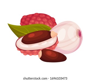 Litchi Fruit with Rough Opened Pink-red Rind and Sweet Flesh Inside Vector Illustration