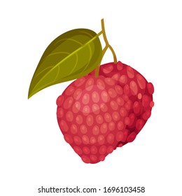 Litchi Fruit with Rough Pink-red Rind and Green Leaves Vector Illustration