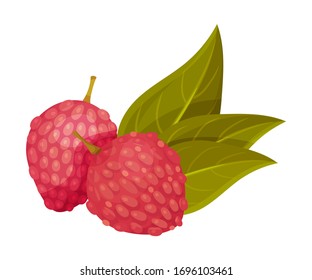 Litchi Fruit with Rough Pink-red Rind and Green Leaves Vector Illustration