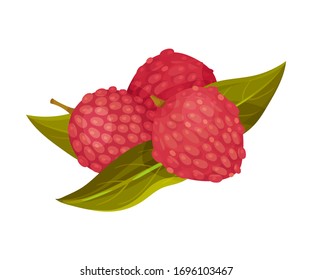 Litchi Fruit with Rough Pink-red Rind and Green Leaves Vector Illustration