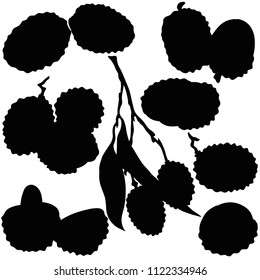 Litchi fruit, vector, silhouette