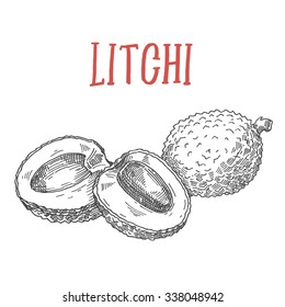 Litchi vector illustration.Vintage tropical fruit background isolated on white.