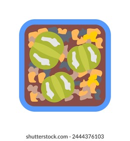 Lithops icon in vector. Logotype