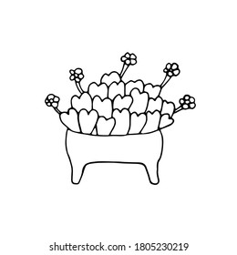 Logo de Lithops. Lithops labrados a mano suculento. Señal Lithops, insignia. ilustración vectorial para hacer diseño, pegatinas, un elemento de arte, impresiones en superficies como cubiertas, ropa, cuadernos, platos.