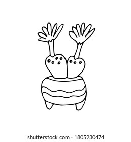Logo de Lithops. Lithops labrados a mano suculento. Señal Lithops, insignia. ilustración vectorial para hacer diseño, pegatinas, un elemento de arte, impresiones en superficies como cubiertas, ropa, cuadernos, platos.