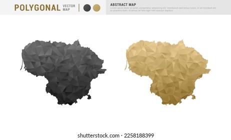 Mapa lituano de la pareja de juegos de polígonos de oro abstracto y vector negro.