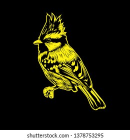 litle bird illustration 