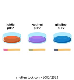 Litmus liquid and litmus paper test in solutions with acidic, alkaline and neutral pH. Indicator color changes. Educational chemistry for kids. Cartoon vector illustration in flat style. 