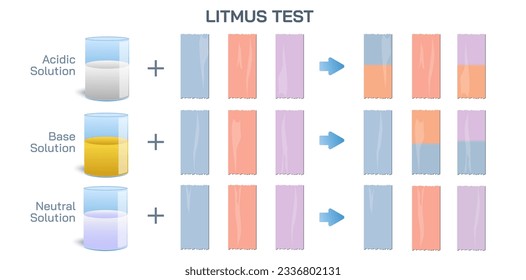 Litmus paper and change in color with reaction with acids vector. Litmus test in chemistry to determine the solution is acidic or basic. General chemistry experiments or exam. Tyeps of paper is dipped