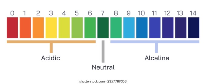 Litmus Papier und Veränderung in der Farbe mit Reaktion mit Säuren Vektorgrafik. Der Litmus-Test in der Chemie zur Bestimmung der Lösung ist sauber oder einfach. Allgemeine Chemie-Experimente oder Prüfungen. Papierarten werden getaucht