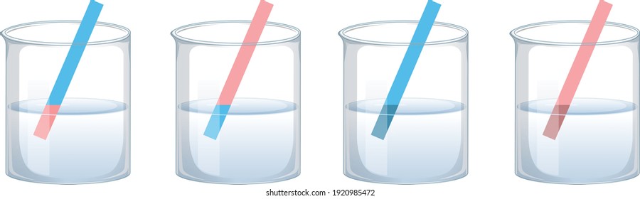 Litmus paper test results, possible color changes of litmus test, pH determination with lütmus test, acidic, basic or neutral solutions, Vector Illustration,  Education for School, Science Online