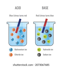 Litmus test of Acid and Base in Chemistry Laboratory. Litmus paper test results, possible color changes of litmus test, pH determination with lütmus test, acidic, basic or neutral solutions.