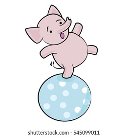litte elephant on ball
