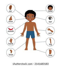 human body parts clipart