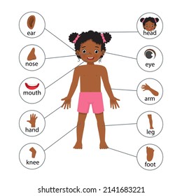 Afiche de ilustraciones de niñas africanas de partes del cuerpo humano con un diagrama de etiquetas de texto con fines educativos