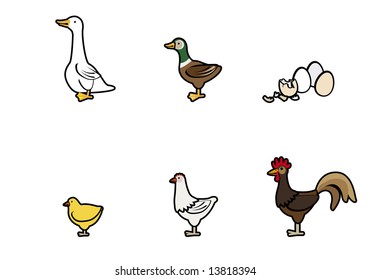 Little Animals Farm