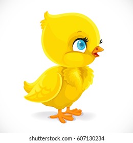 Little baby chick isolated on a white background
