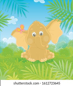 Little baby elephant sitting on green grass and playing with a small colorful butterfly against the background of palm branches and bushes of tropical savanna, vector cartoon illustration