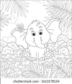 Little baby elephant sitting on grass and playing with a small butterfly against the background of palm branches and bushes of tropical savanna, black and white vector cartoon illustration