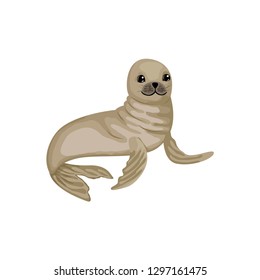 Little baby fur seal, rests lying on its fins, an animal of the Arctic or Antarctica. Vector Isolated Character