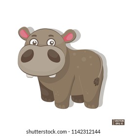Little baby gray hippopotamus