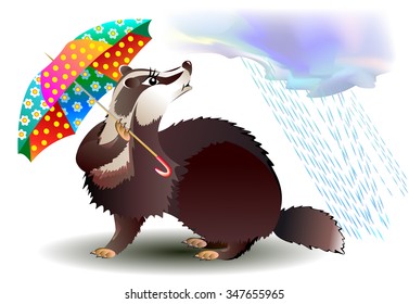 Little badger holding umbrella, vector cartoon image.