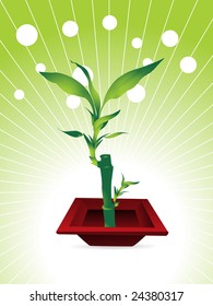 little bamboo tree with nice red pot, vector illustration